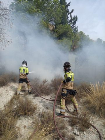 Sofocan conato de incendio forestal en Ulea
